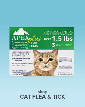 Cat Flea & Tick
